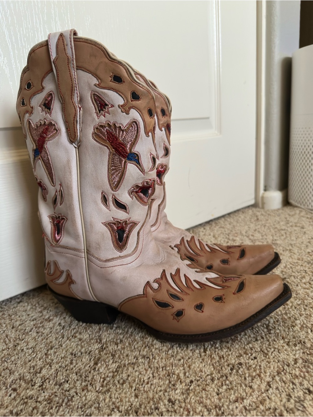 Dan Post Hummingbirds, hearts and Tulips Western Boots -Rare